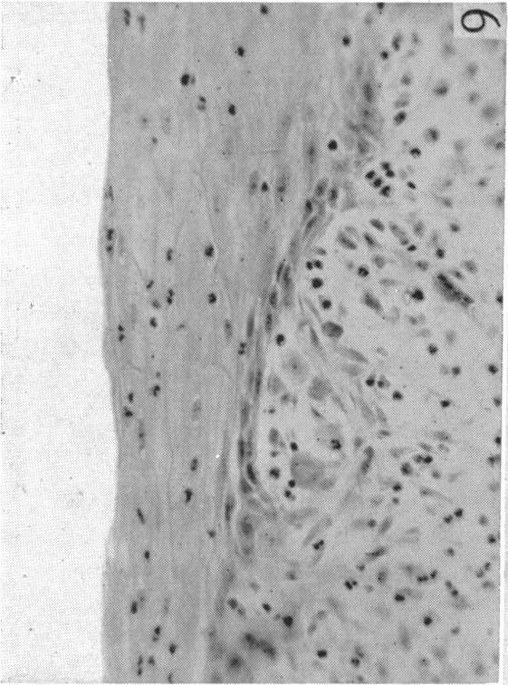 https://cdn.ncbi.nlm.nih.gov/pmc/blobs/266d/1252734/c1555c000d74/janat00509-0062-c.jpg