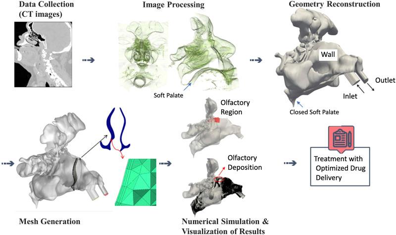https://cdn.ncbi.nlm.nih.gov/pmc/blobs/266e/8650014/2b8bd4f794a4/fphar-12-746420-g001.jpg
