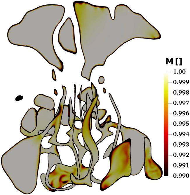 https://cdn.ncbi.nlm.nih.gov/pmc/blobs/266e/8650014/41b589d205a1/fphar-12-746420-g003.jpg