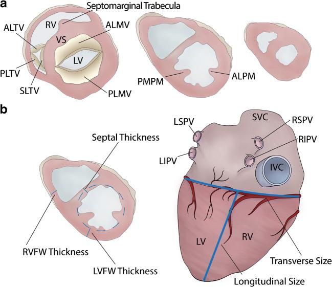 https://cdn.ncbi.nlm.nih.gov/pmc/blobs/2672/8298245/f8647637e2c5/428_2021_3038_Fig1_HTML.jpg