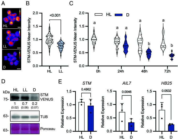 https://cdn.ncbi.nlm.nih.gov/pmc/blobs/2673/11406306/d28e1eea83ff/pnas.2408699121fig01.jpg