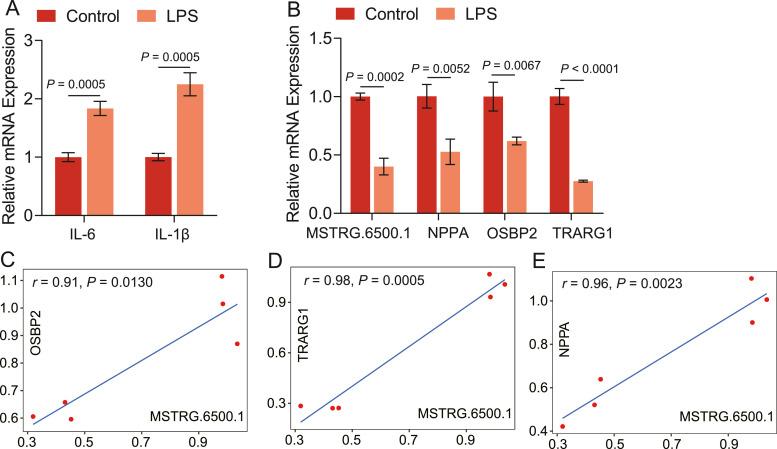 https://cdn.ncbi.nlm.nih.gov/pmc/blobs/2673/11681910/1f1b6ac65a51/gr9.jpg