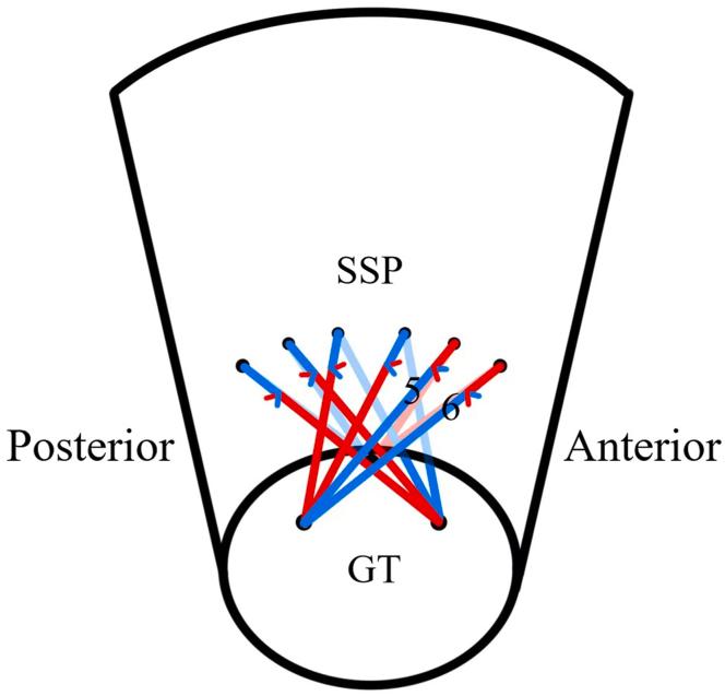 https://cdn.ncbi.nlm.nih.gov/pmc/blobs/2673/12255410/d805d791892f/gr12.jpg