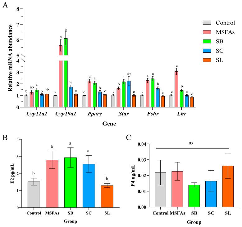 https://cdn.ncbi.nlm.nih.gov/pmc/blobs/2674/9607977/84d3c412797f/nutrients-14-04405-g001.jpg