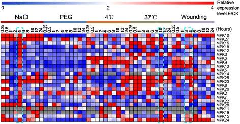 https://cdn.ncbi.nlm.nih.gov/pmc/blobs/2676/4270029/276cb61fd2e3/12870_2014_345_Fig7_HTML.jpg