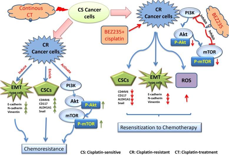 https://cdn.ncbi.nlm.nih.gov/pmc/blobs/2678/6591840/0d887e6d90a2/12885_2019_5824_Fig5_HTML.jpg