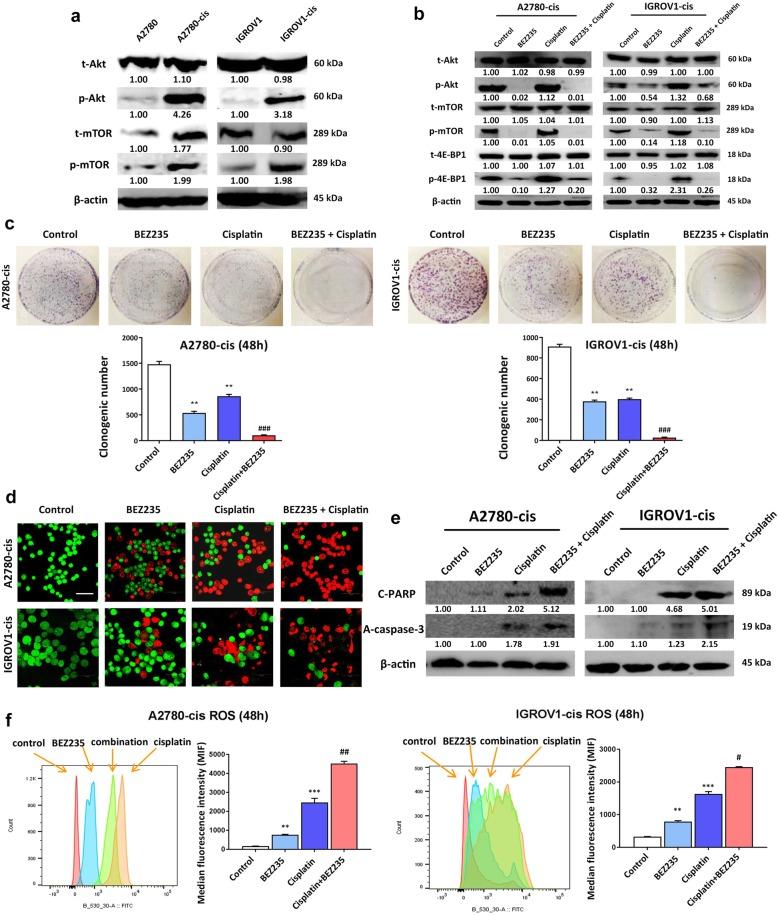 https://cdn.ncbi.nlm.nih.gov/pmc/blobs/2678/6591840/478ddf5e44a7/12885_2019_5824_Fig3_HTML.jpg