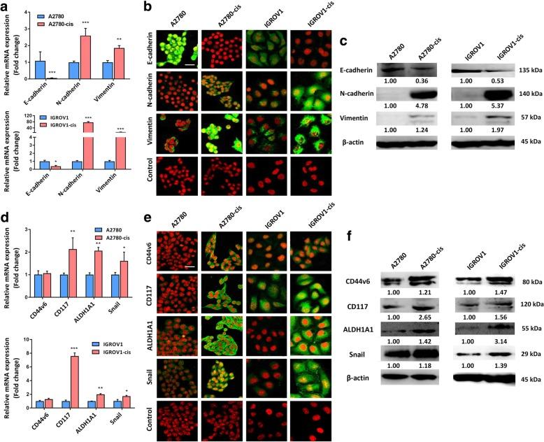 https://cdn.ncbi.nlm.nih.gov/pmc/blobs/2678/6591840/7a55e9f56a28/12885_2019_5824_Fig2_HTML.jpg
