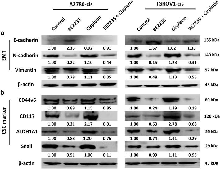 https://cdn.ncbi.nlm.nih.gov/pmc/blobs/2678/6591840/cee189433d4e/12885_2019_5824_Fig4_HTML.jpg
