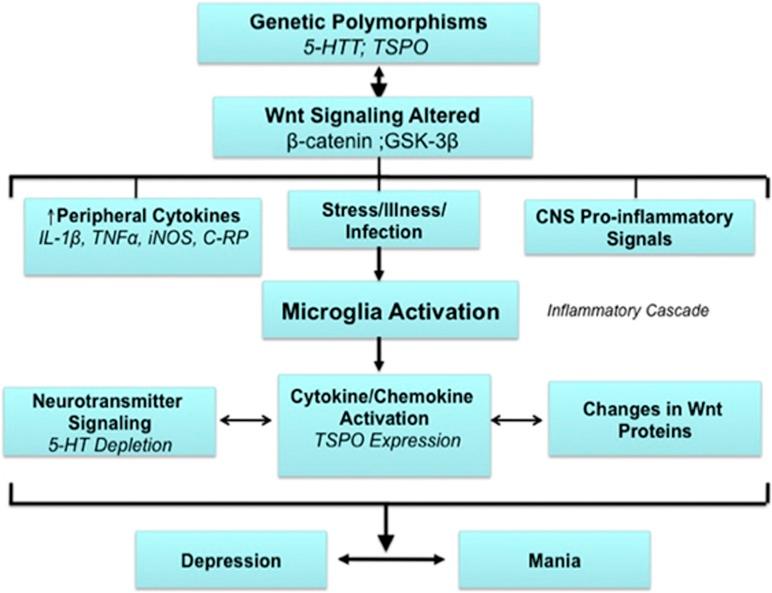 https://cdn.ncbi.nlm.nih.gov/pmc/blobs/267a/3905229/525841dac291/tp2013119f3.jpg