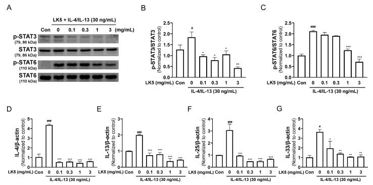 https://cdn.ncbi.nlm.nih.gov/pmc/blobs/267b/10821371/8ce5f6bef6e1/pharmaceutics-16-00040-g005.jpg