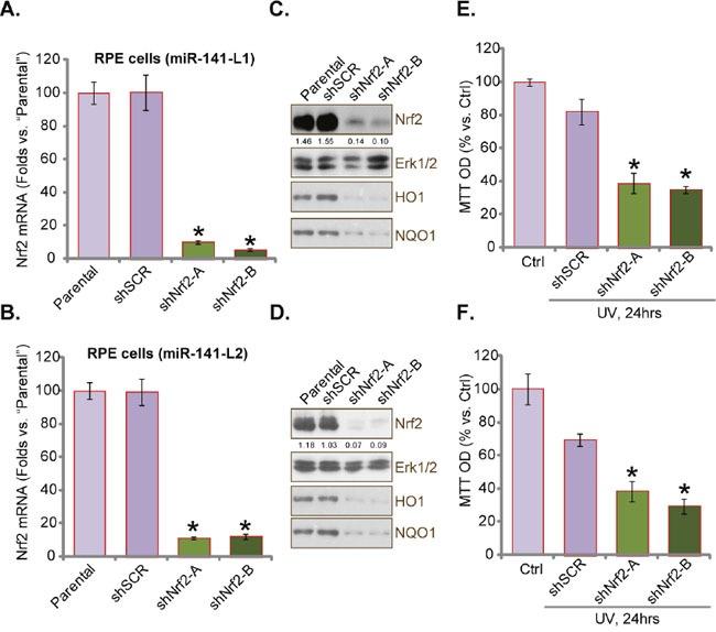 https://cdn.ncbi.nlm.nih.gov/pmc/blobs/267b/5355087/1afa0613e890/oncotarget-08-13186-g006.jpg