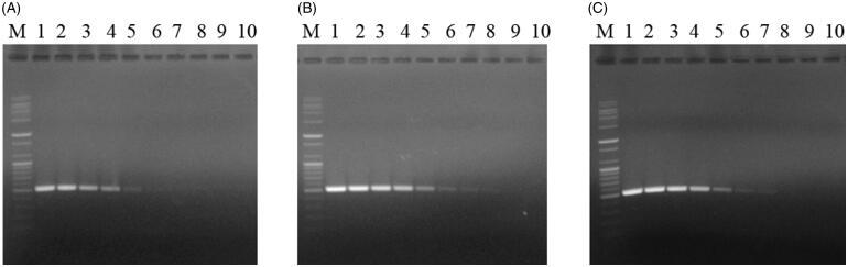 https://cdn.ncbi.nlm.nih.gov/pmc/blobs/267b/7476530/4286cbf3d108/TMYB_A_1785754_F0004_B.jpg