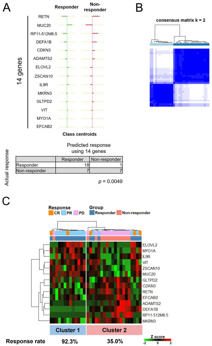 https://cdn.ncbi.nlm.nih.gov/pmc/blobs/267b/9776722/278e8e05fa90/cancers-14-06207-g005.jpg