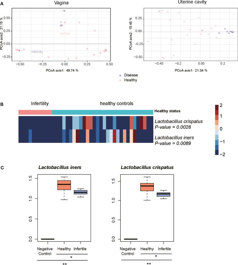 https://cdn.ncbi.nlm.nih.gov/pmc/blobs/267c/8482844/693b6659d096/fcimb-11-649067-g004.jpg