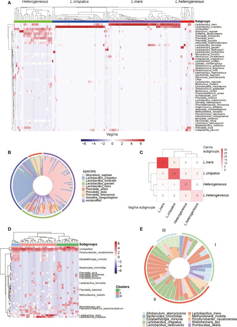 https://cdn.ncbi.nlm.nih.gov/pmc/blobs/267c/8482844/e248f95fbe39/fcimb-11-649067-g002.jpg