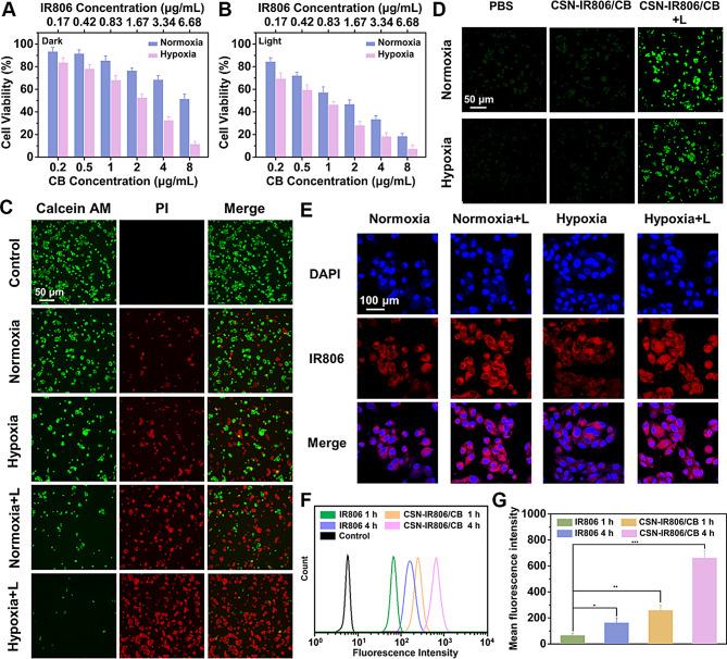https://cdn.ncbi.nlm.nih.gov/pmc/blobs/267e/12032639/652155eed251/12951_2025_3394_Fig4_HTML.jpg