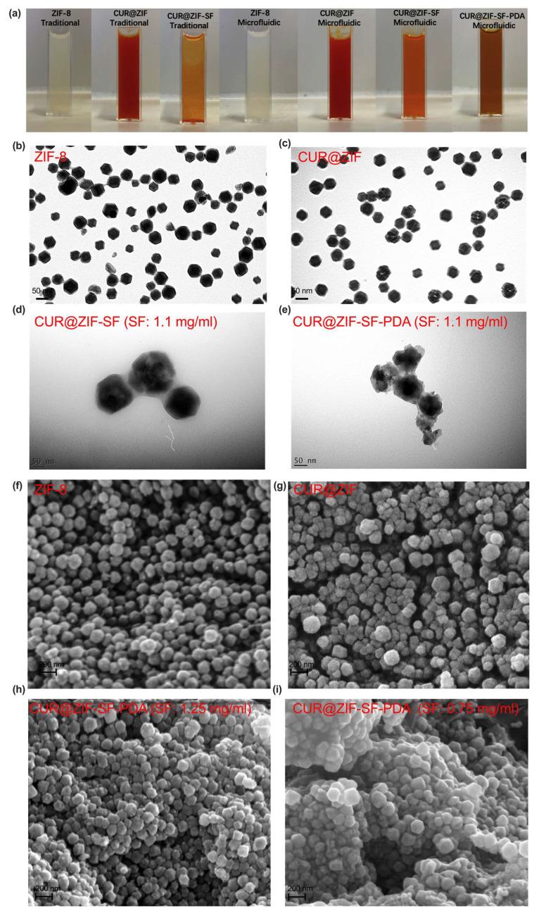 https://cdn.ncbi.nlm.nih.gov/pmc/blobs/267f/10384305/4e57423b5c36/pharmaceutics-15-01811-g004.jpg