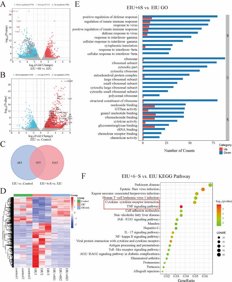 https://cdn.ncbi.nlm.nih.gov/pmc/blobs/267f/12273885/6bf4eae5045f/iovs-66-9-43-f002.jpg