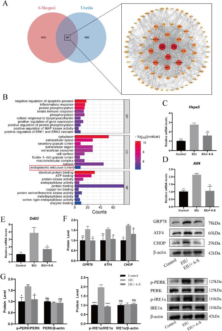 https://cdn.ncbi.nlm.nih.gov/pmc/blobs/267f/12273885/b9dbc223e75b/iovs-66-9-43-f004.jpg