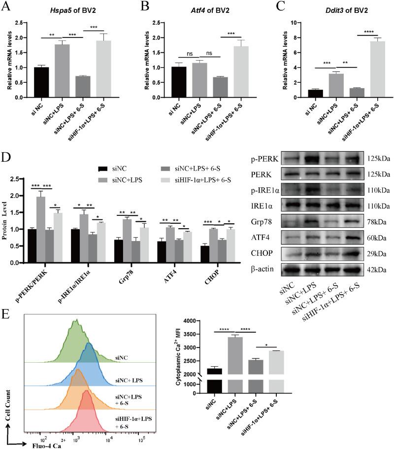https://cdn.ncbi.nlm.nih.gov/pmc/blobs/267f/12273885/c36cb436ffc4/iovs-66-9-43-f007.jpg