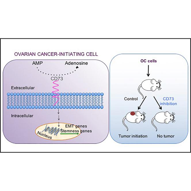 https://cdn.ncbi.nlm.nih.gov/pmc/blobs/267f/5998305/097d3d8e2bc6/fx1.jpg