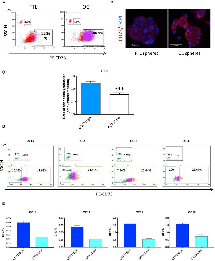 https://cdn.ncbi.nlm.nih.gov/pmc/blobs/267f/5998305/6d04dc08be2e/gr2.jpg