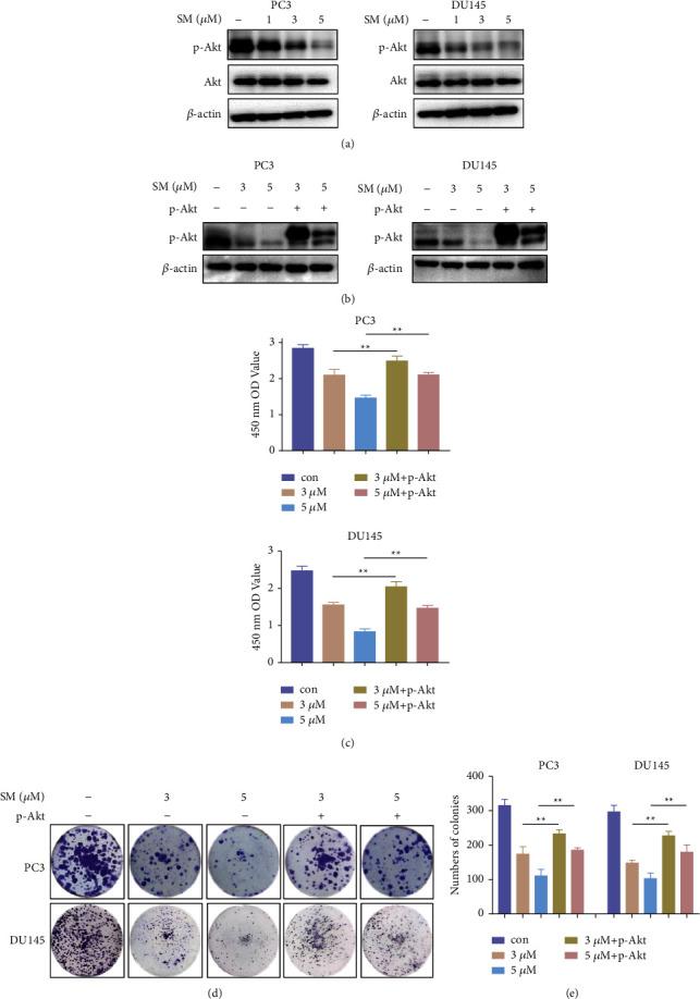 https://cdn.ncbi.nlm.nih.gov/pmc/blobs/267f/8930254/5198201f1eed/JO2022-9055954.003.jpg