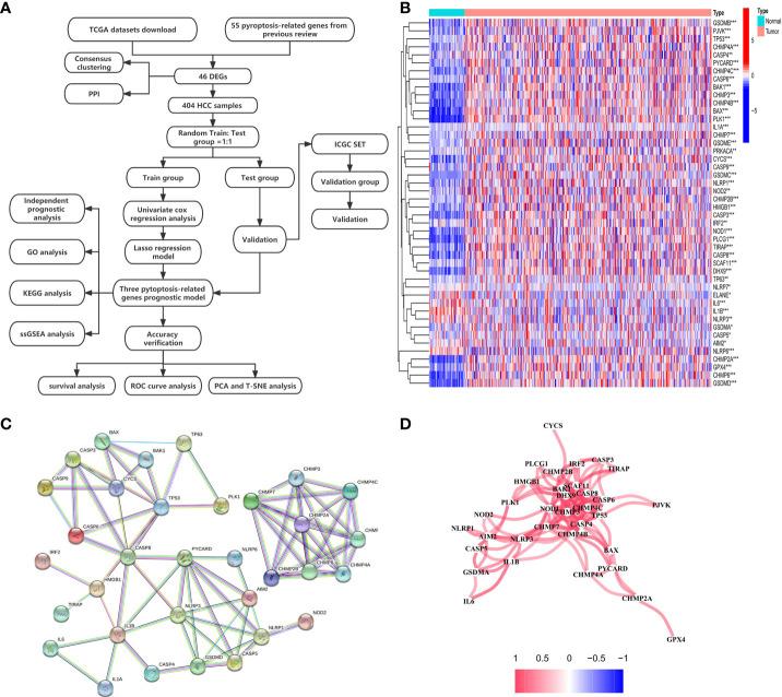 https://cdn.ncbi.nlm.nih.gov/pmc/blobs/267f/9578146/59732b0908ca/fonc-12-986827-g001.jpg