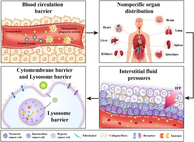 https://cdn.ncbi.nlm.nih.gov/pmc/blobs/2682/10861844/102ff11795c4/gr2.jpg