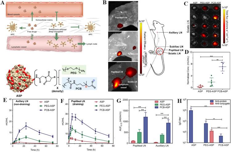https://cdn.ncbi.nlm.nih.gov/pmc/blobs/2682/10861844/670f10540e14/gr7.jpg