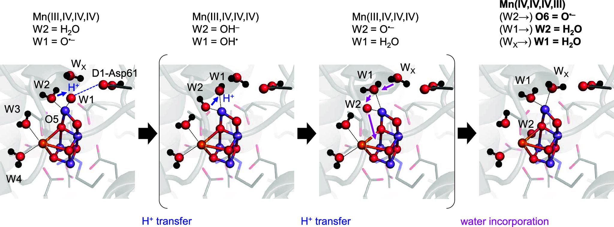 https://cdn.ncbi.nlm.nih.gov/pmc/blobs/2684/11104351/e8d59b5758d8/jp4c01997_0003.jpg