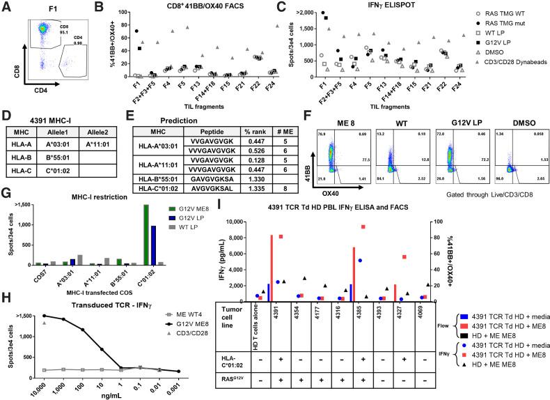 https://cdn.ncbi.nlm.nih.gov/pmc/blobs/2685/9662891/8975227fbc73/5084fig2.jpg