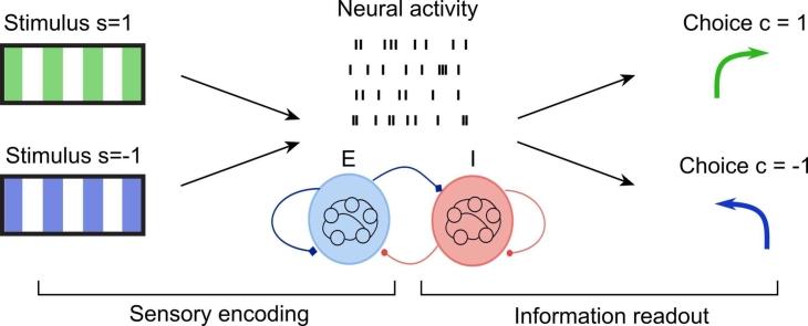 https://cdn.ncbi.nlm.nih.gov/pmc/blobs/2685/9851868/9e9ac579709e/ga1.jpg