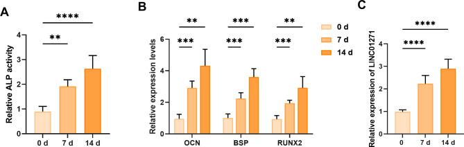 https://cdn.ncbi.nlm.nih.gov/pmc/blobs/2687/11724611/17564d1319a5/13018_2024_5444_Fig2_HTML.jpg
