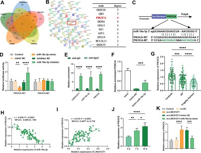 https://cdn.ncbi.nlm.nih.gov/pmc/blobs/2687/11724611/d09ba9bbc368/13018_2024_5444_Fig6_HTML.jpg