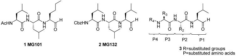 https://cdn.ncbi.nlm.nih.gov/pmc/blobs/2688/6264673/7e15337f2778/molecules-16-07551-g001.jpg
