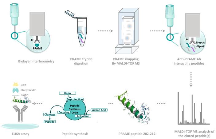https://cdn.ncbi.nlm.nih.gov/pmc/blobs/2689/8003813/beb6c7661bb2/ijms-22-03166-sch001.jpg