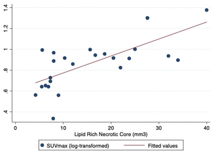 https://cdn.ncbi.nlm.nih.gov/pmc/blobs/2689/8732361/136dbba4ed6a/fneur-12-731744-g0002.jpg