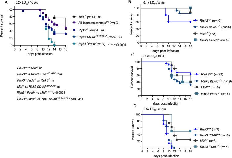 https://cdn.ncbi.nlm.nih.gov/pmc/blobs/268b/11111761/f18fb06085bd/41420_2024_1981_Fig1_HTML.jpg