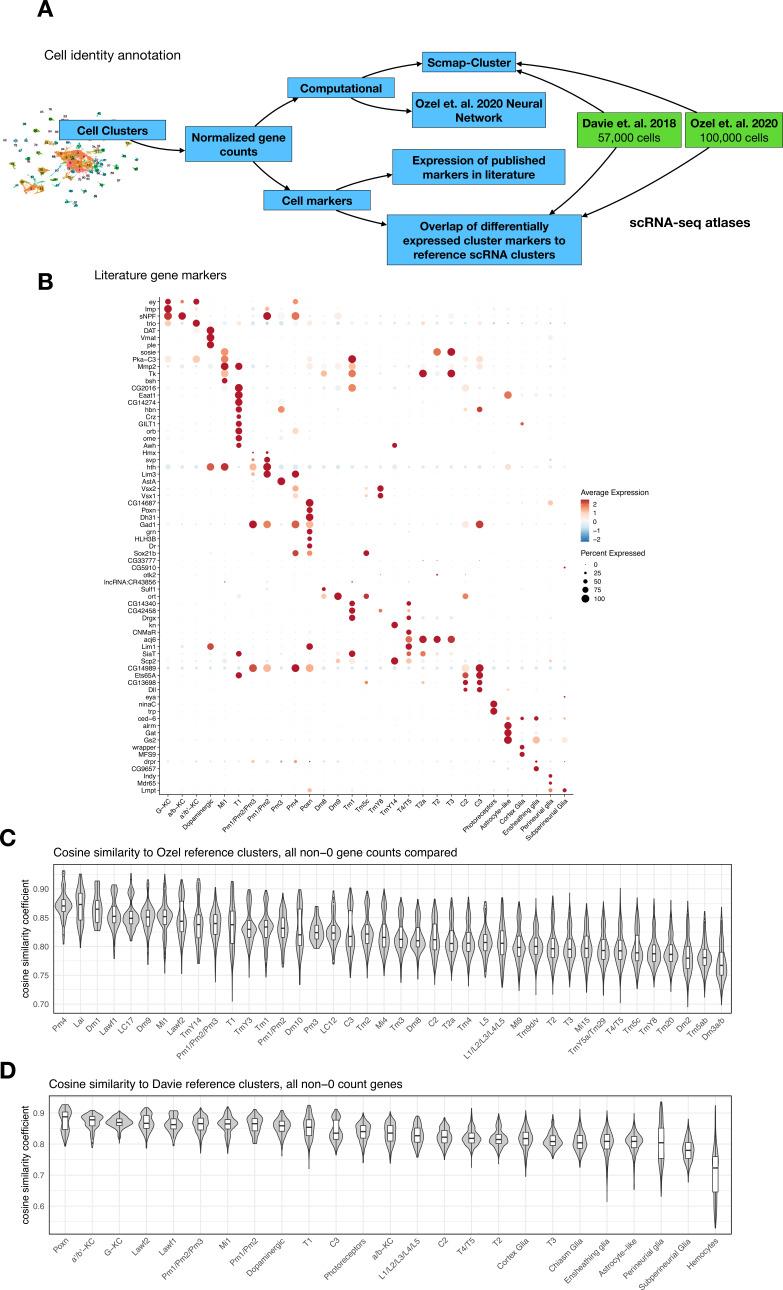 https://cdn.ncbi.nlm.nih.gov/pmc/blobs/268e/10259480/3766913b494a/elife-85251-fig1-figsupp2.jpg