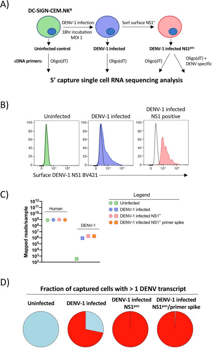 https://cdn.ncbi.nlm.nih.gov/pmc/blobs/268f/7270085/250698fd2990/41598_2020_65939_Fig1_HTML.jpg
