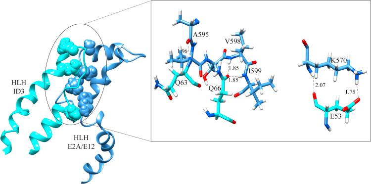 https://cdn.ncbi.nlm.nih.gov/pmc/blobs/2690/5600450/d858469539d0/gr11.jpg