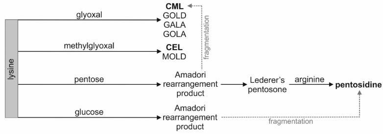 https://cdn.ncbi.nlm.nih.gov/pmc/blobs/2690/8700453/4d3345ecaab2/cells-10-03523-g002.jpg