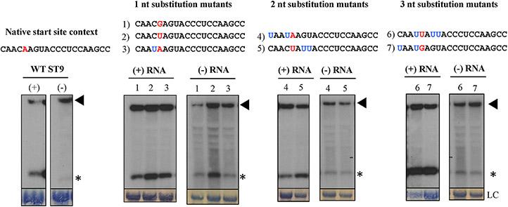 https://cdn.ncbi.nlm.nih.gov/pmc/blobs/2690/9832584/0817f7f10738/nihms-1858663-f0003.jpg