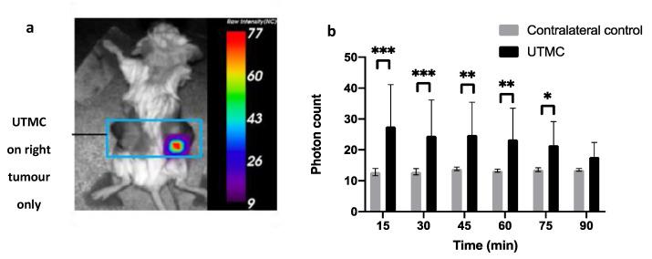 https://cdn.ncbi.nlm.nih.gov/pmc/blobs/2691/8307140/7de110bfcd48/life-11-00700-g011.jpg