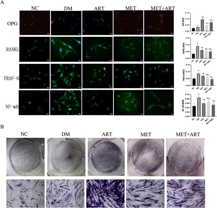 https://cdn.ncbi.nlm.nih.gov/pmc/blobs/2692/12148436/1d8ab156847f/gr6.jpg