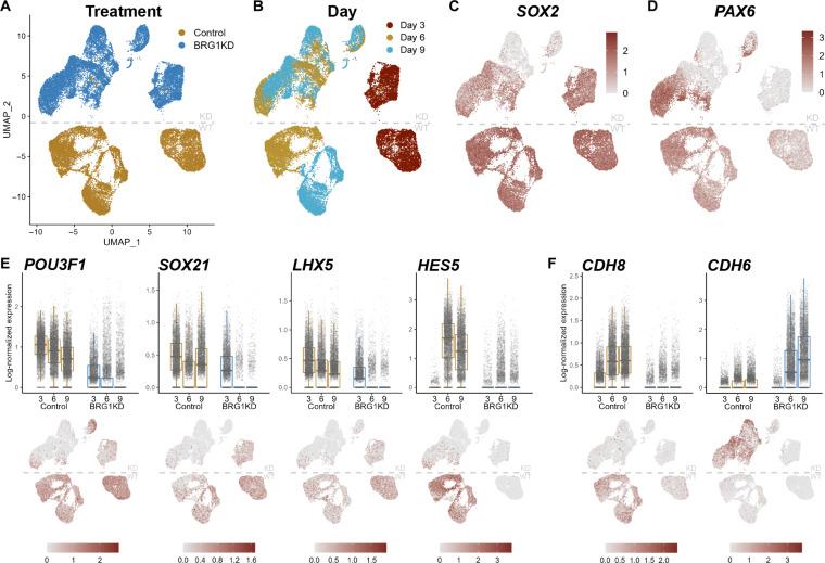 https://cdn.ncbi.nlm.nih.gov/pmc/blobs/2697/10906928/2c494ab1d091/sciadv.adj5107-f3.jpg