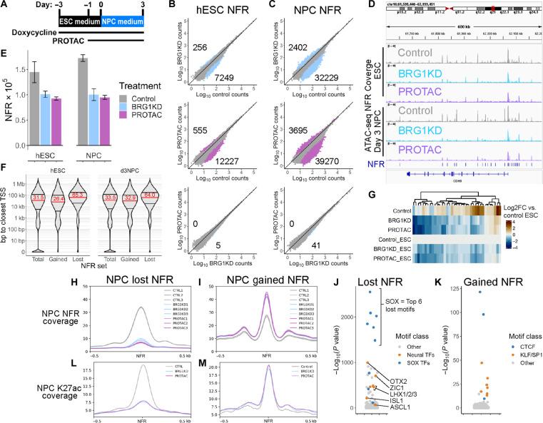 https://cdn.ncbi.nlm.nih.gov/pmc/blobs/2697/10906928/c08aebcede8b/sciadv.adj5107-f6.jpg