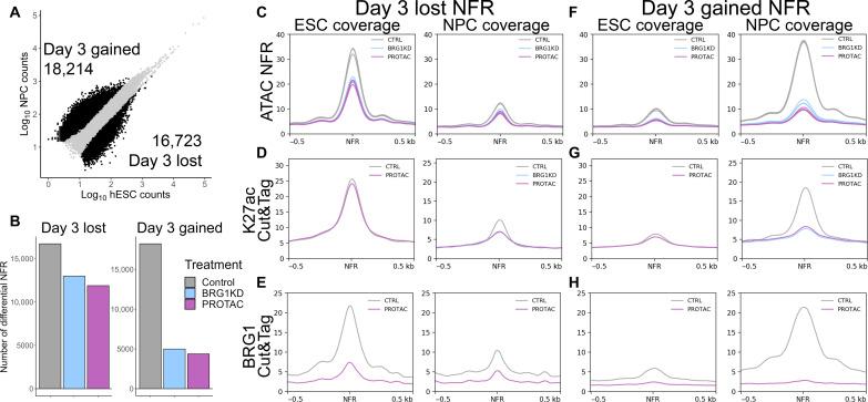 https://cdn.ncbi.nlm.nih.gov/pmc/blobs/2697/10906928/fb6cb2bb97bf/sciadv.adj5107-f7.jpg